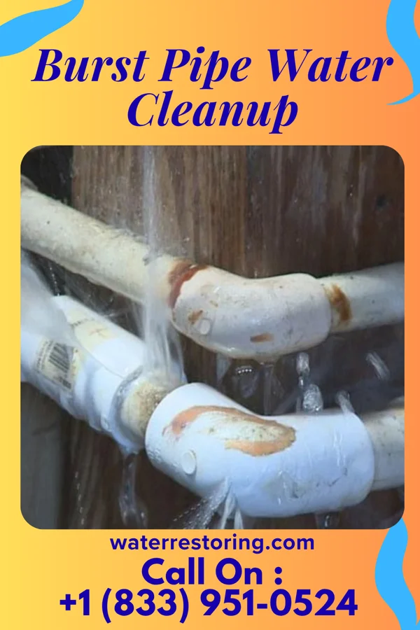 Burst Pipe Water Cleanup in Clarkton, MO