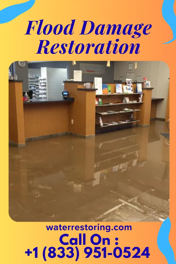 Flood Damage Restoration in Clarkton, MO